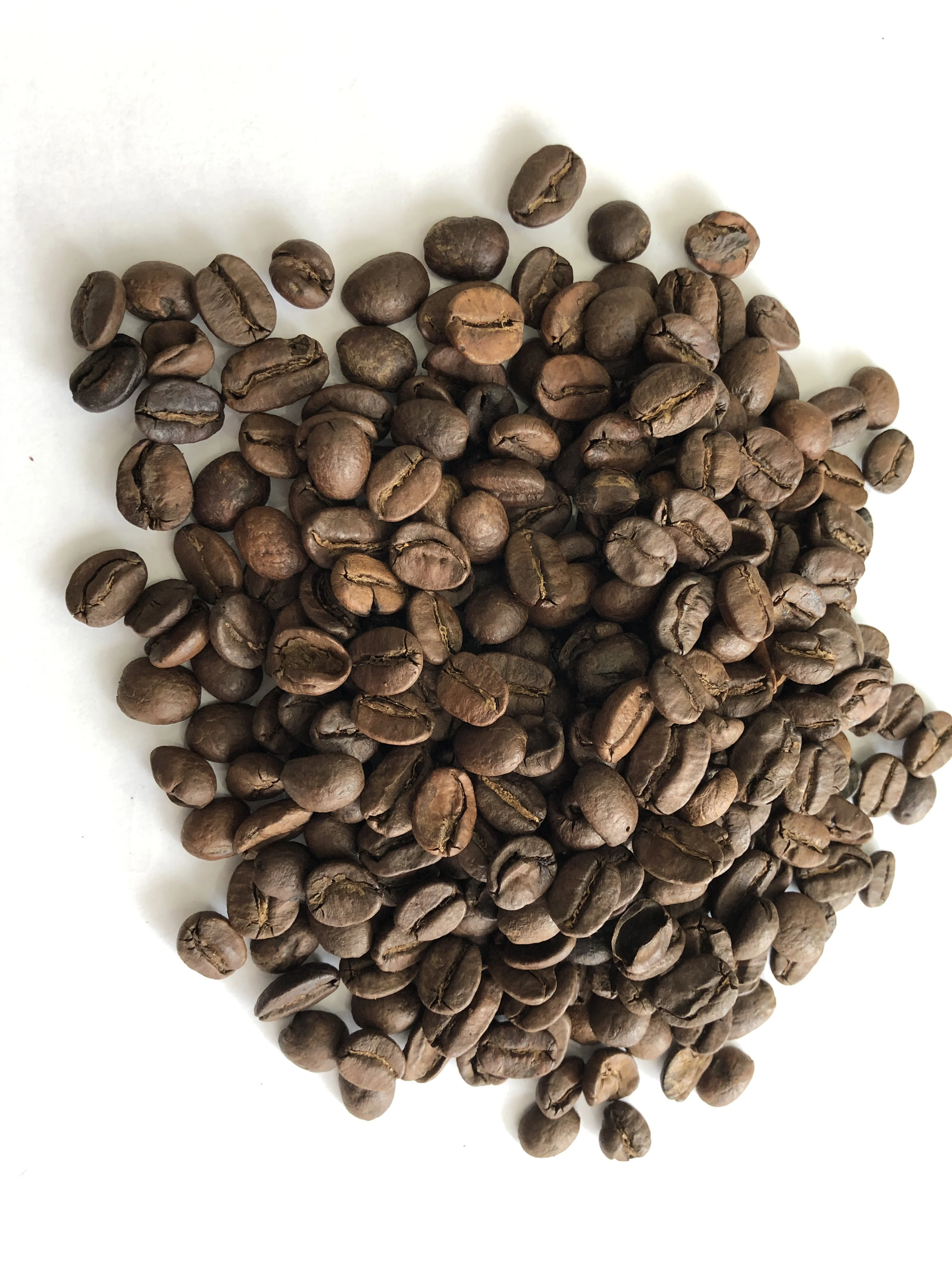 
Arabica - premium arabica coffee beans / ground coffee 