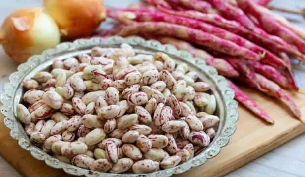  Турецкая легкая красная фасоль рыночная
