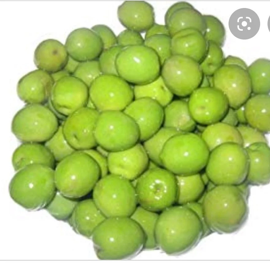 
Top Quality Organic Fresh Green Olives 