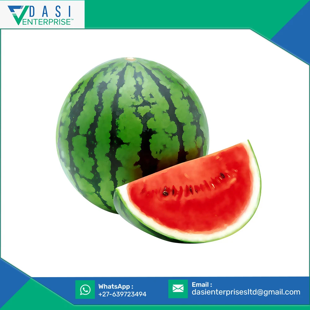 Healthy Beneficial Direct Factory Sale of Natural Fleshy Green Watermelon Fruit For Daily Eatable At Good Price