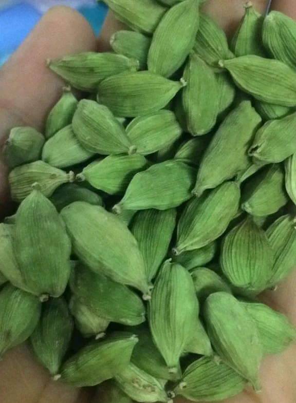 Specification Green Cardamom High Grade Best Quality - Whatsapp : +91 9176416331