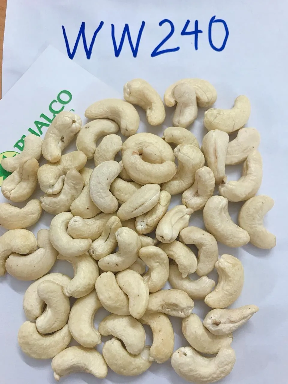 BEST MANUFACTURER OF CASHEW NUTS FROM  VIET NAM