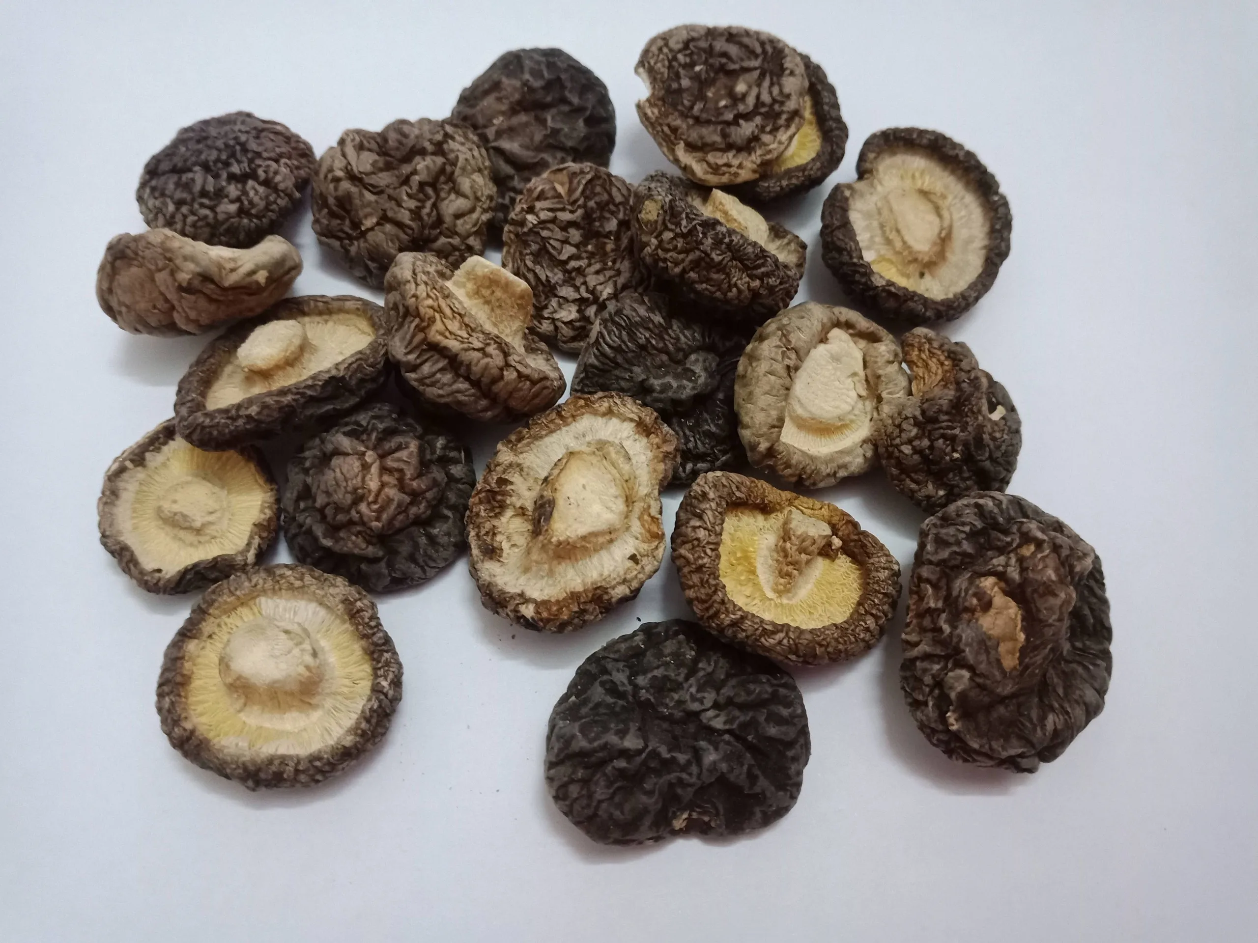 100% Organic High quality dried shiitake mushroom from Vietnam/Ms Kathy +84 896 650