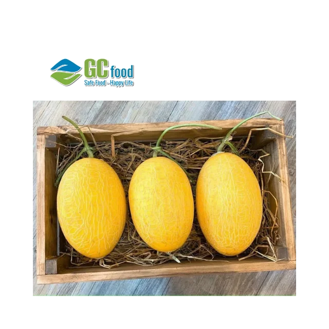 Импорт и экспорт свежей сладкой дыни-100% зрелой дыни органический натуральный из