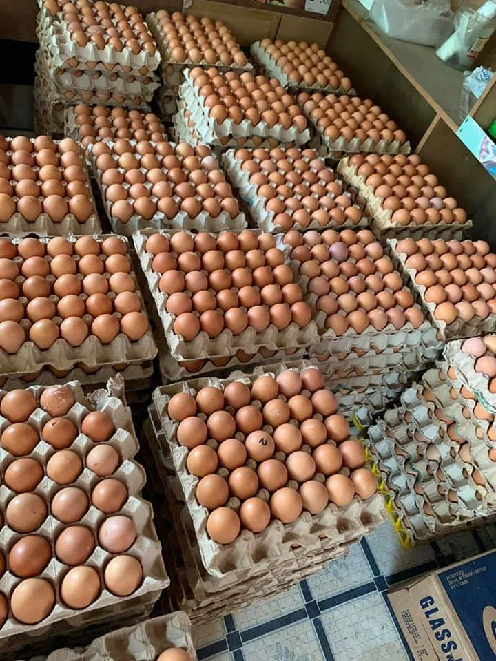 Farm Fresh Chicken Table Eggs Brown And White Shell Chicken Eggs