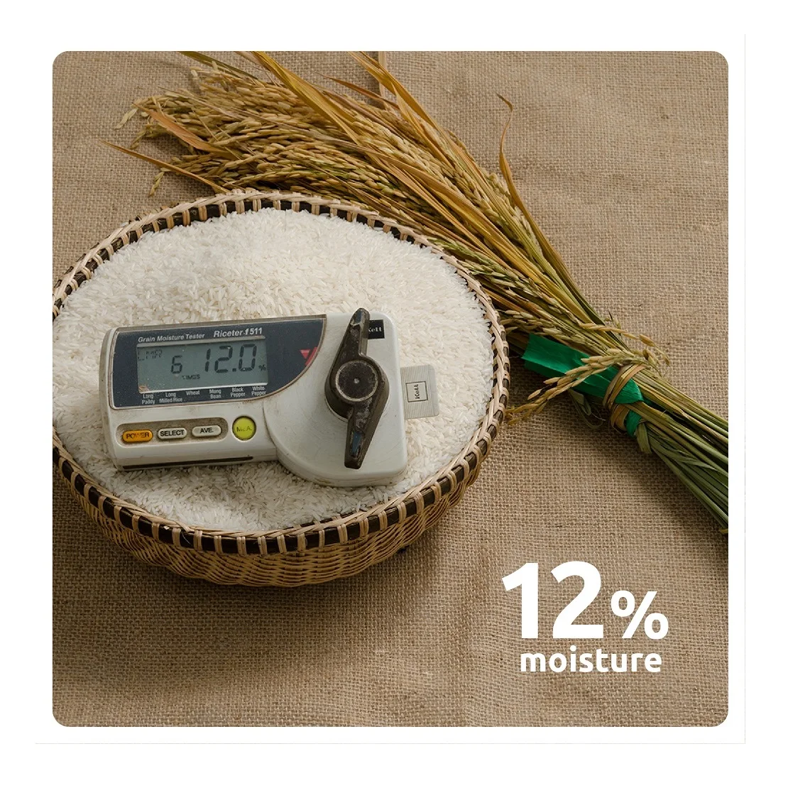 Вкусный ароматический рис со средним зерном Gao 4900 без брендового риса из Вьетнама по лучшей цене