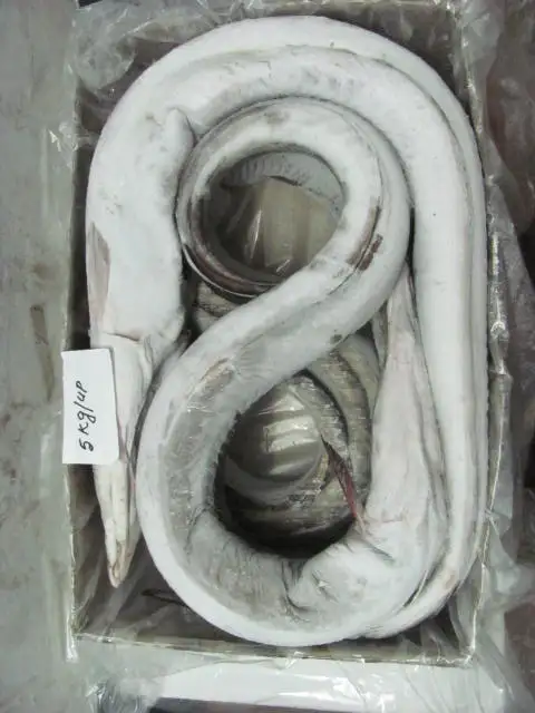 SELL FROZEN EEL FISH SEAFOOD SUUPLY