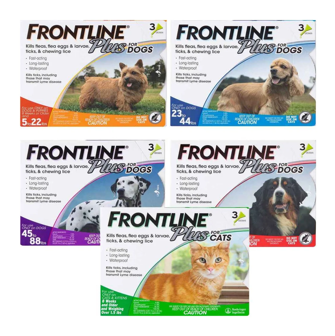 Top Quality Wholesale Price Of FRONTLINE Plus Flea and Tick Treatment for Dogs (Extrs Large Dogs, 89-132 Pounds 3 Doses)