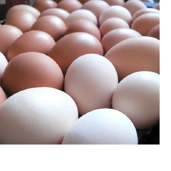 chicken-eggs.jpg
