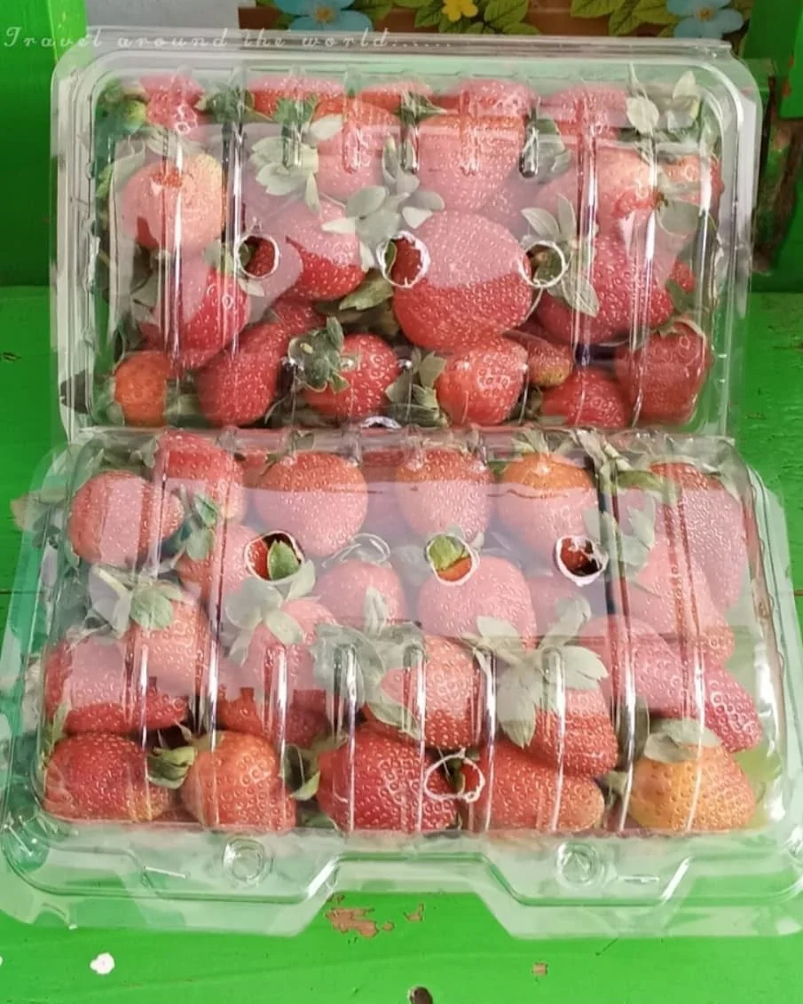 
Premium Grade Freeze Dried Strawberry / Fresh Strawberry Fruits 