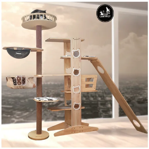 Korean cat tree - Hanasan