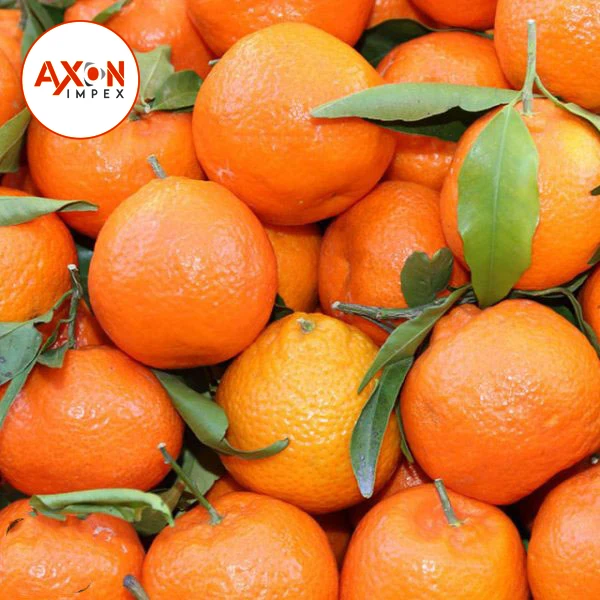 
Pakistani mandarin orange Fresh Oranges /Fresh Mandarin Oranges 