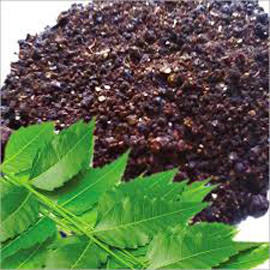 High Quality Green House and agriculture uses for neem cake Powder and Pellets from Indian Manufacturers Direct Sales