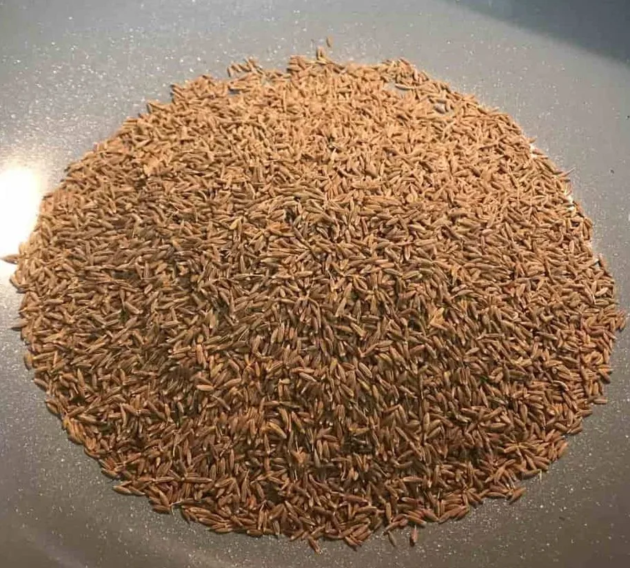 Egyptian Cumin Seeds high quality Natural Type best Grade and best price