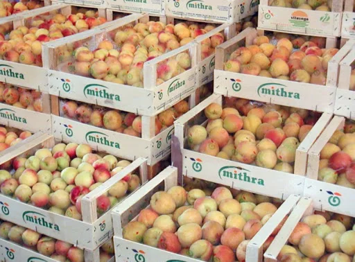 
2020 new crop fresh fruits red Fuji apples 