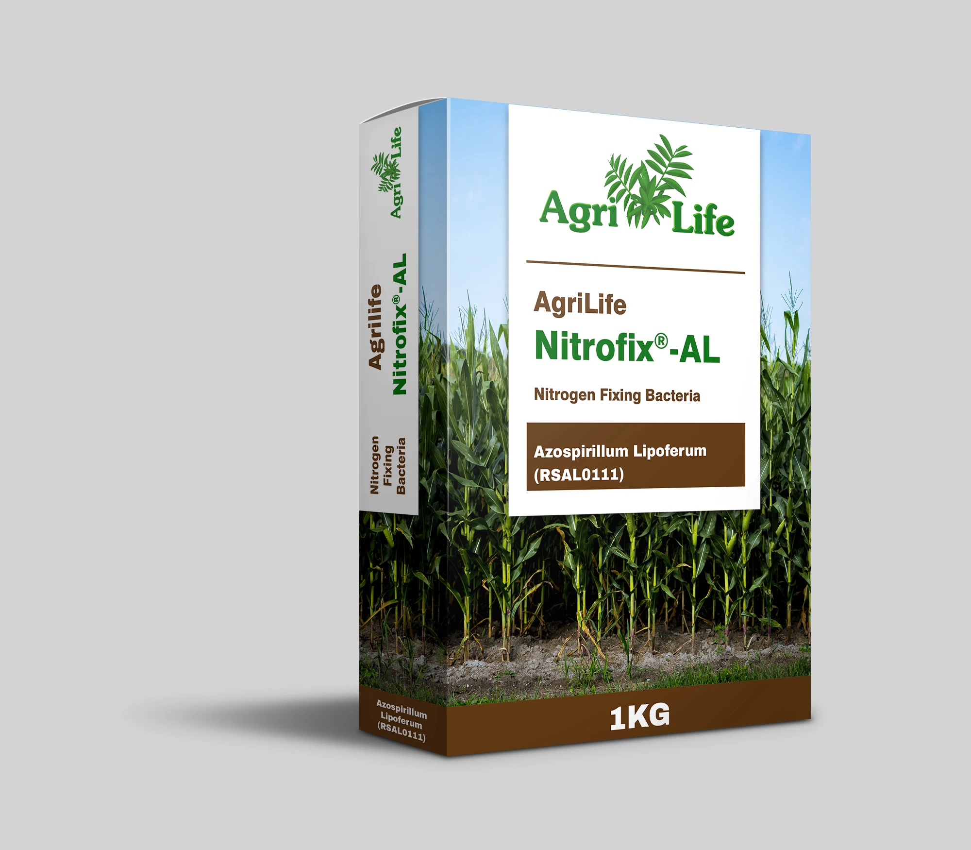 
Best Quality BioFertilizer Organic Nitrogen Fixation Bacteria Paenibacillus Azotofixans Fertilizer Indian Supplier 