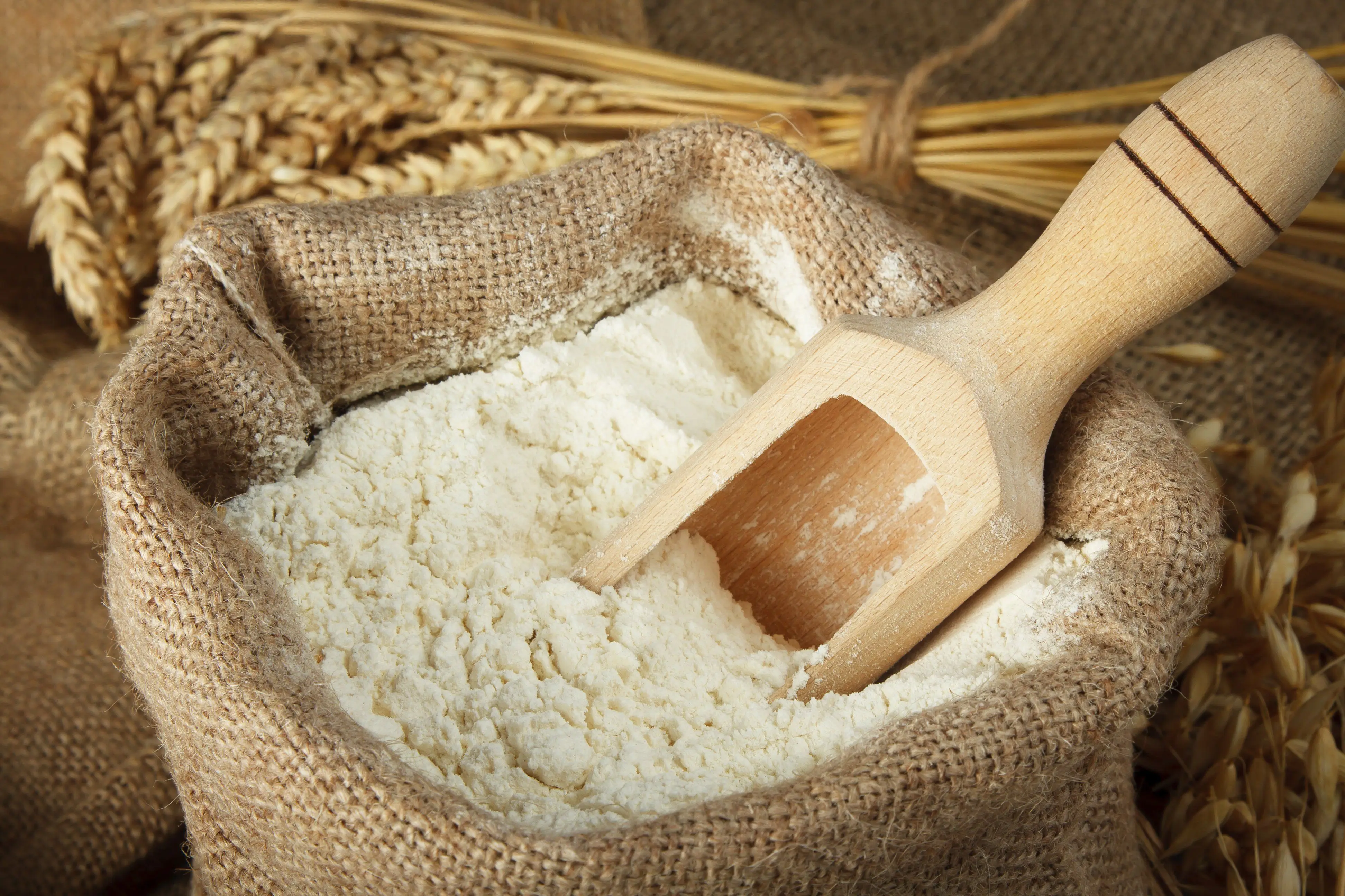 Original First Grade High Quality Wheat Flour In Bulk From Russian Manufacturer Baking Flour For Export