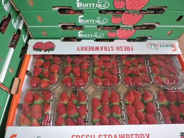 Оптовая продажа хит продаж Вкусная