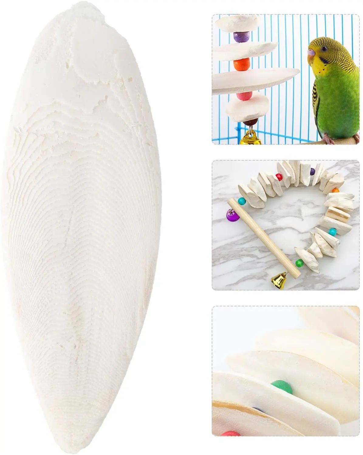 Сушеные кости для морской слепки по самой низкой цене и хорошего качества-Axel + 84 38 776 0892