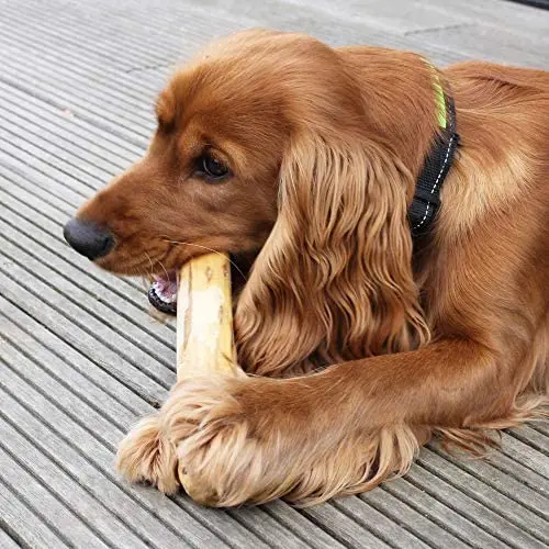 Worth Buying Coffee Wood Chew Dog Treat Bone Stick Toy Chewable Stic/ CHEWING TOYS COFFEE WOOD LOW PRICE Ms Demi +84 961 733 400