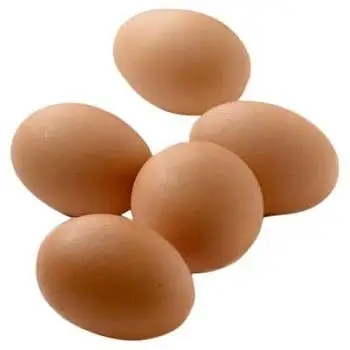 Fresh Organic Farm  Poultry Chicken White Shell Table Eggs | Halal Top Quality Packed Eggs
