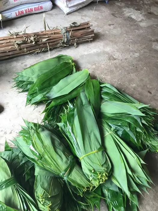 vietnam bamboo leaf (3).jpg