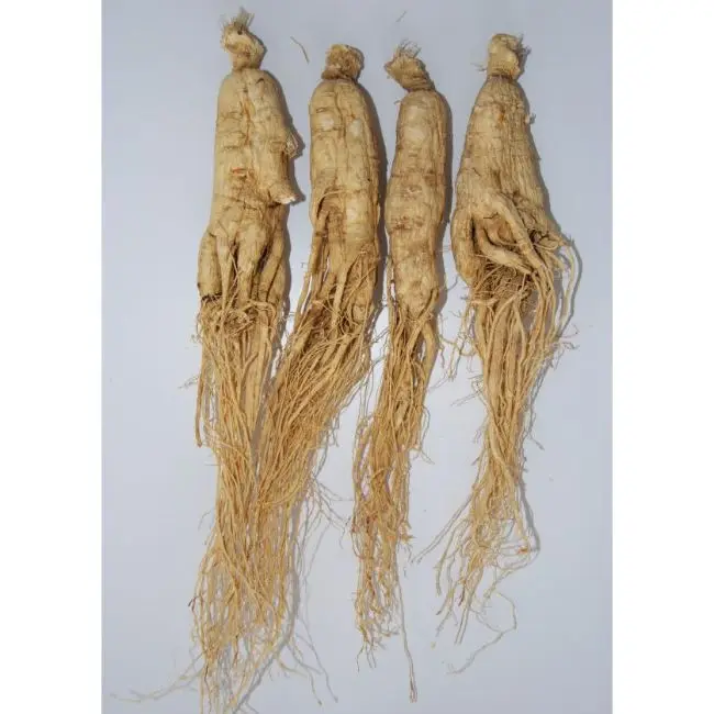 Ginseng Root