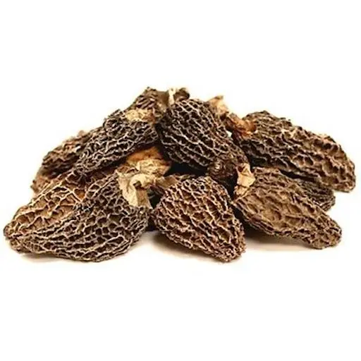 Morel & Morchella Mushroom With Best Price
