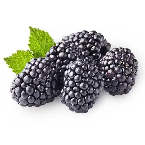 Blackberry Frozen IQF Fruits Mixed Berries Blueberry Blackberry Strawberry Raspberry For Sale