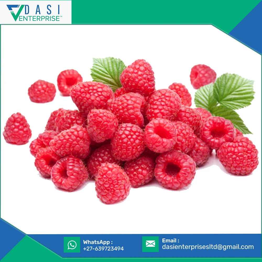 Newly Grown Finest Quality Frozen A Grade Fresh Natural Raspberries Available At Low Market Price