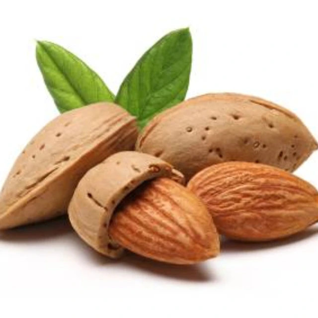 
High Quality Badam Almond Nuts With Best Market Price and 100% Natural Pure and Pure Raw Dried Organic California Almond 