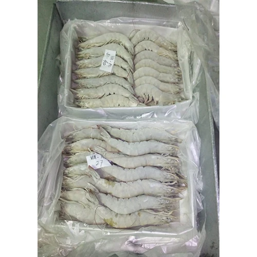 New Season Black Tiger Shrimp shrimp