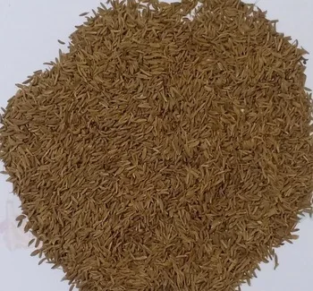 Egyptian Caraway Seeds  Wholesale High Purity Single Spices Herbs