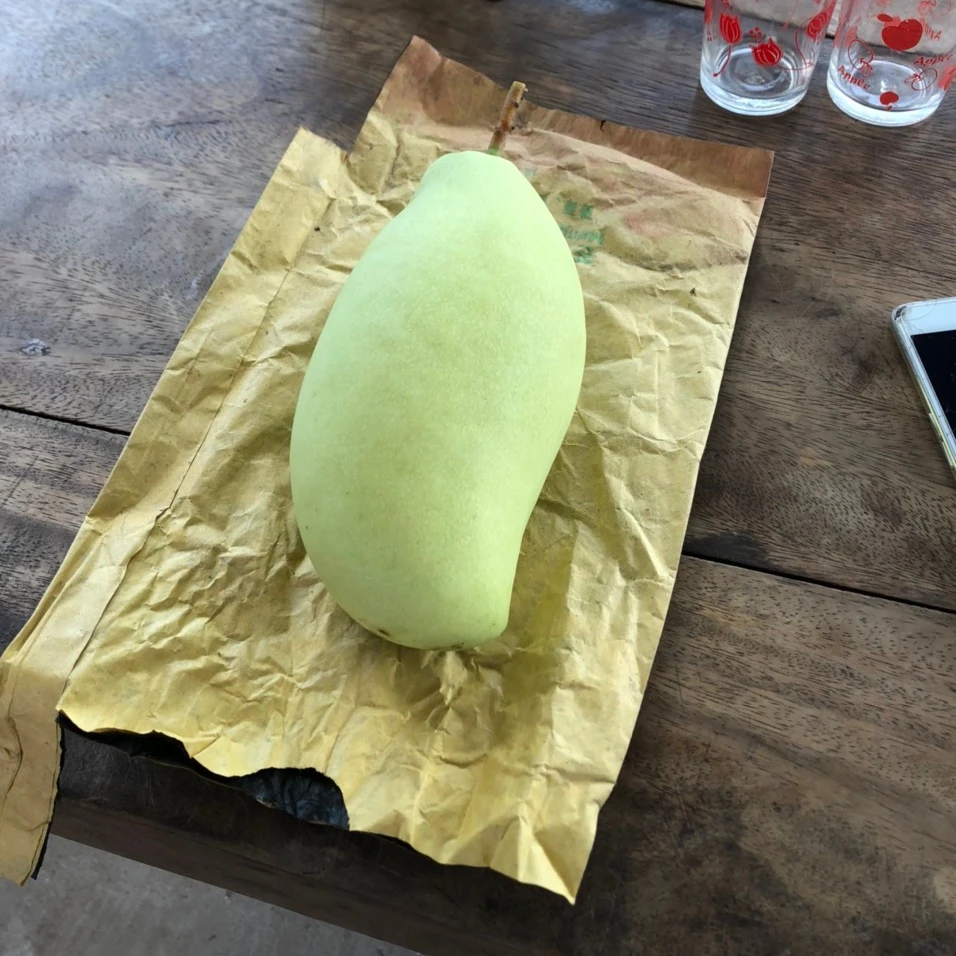 keo mango for export improve health origin in Vietnam sells in bulk