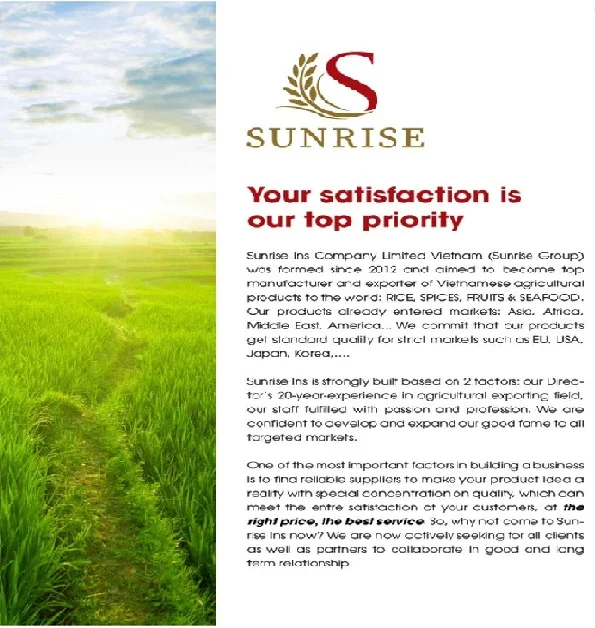 THAI HOM MALI Жасмин Рис Высокое качество для экспорта OEM упаковка (WP: 0084986778999 Mr David/ CEO)