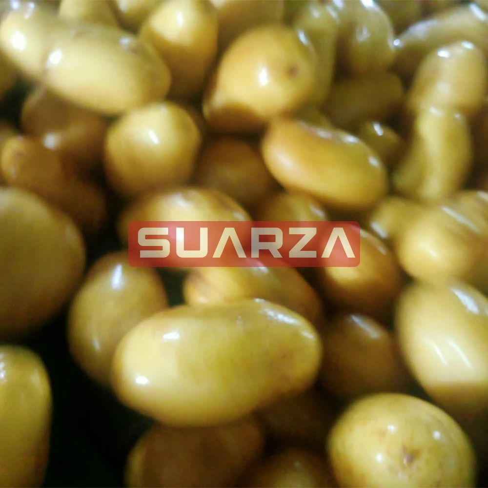 New fresh potato seeds for wholesale