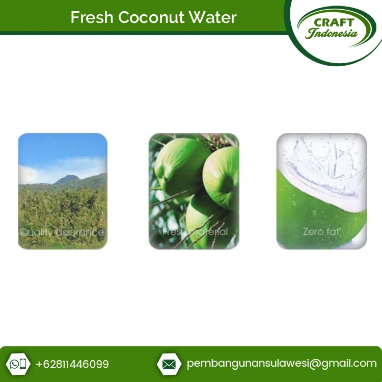 Высокое качество широко продаваемая 100% натуральная и Органическая кокосовая вода по низкой рыночной цене