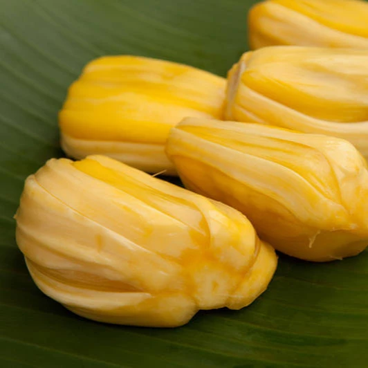 Wholesale Jackfruit Fresh With Best Price Buy Fresh Jackfruit From Vietnam