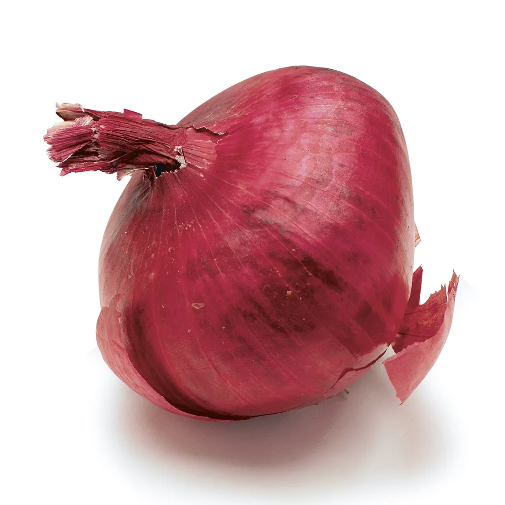 Exporter and Manufacturer of Red Onion Seeds For Export at  Affordable Price