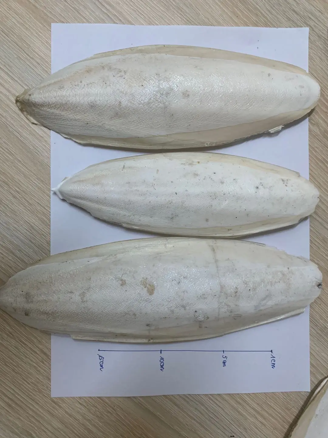 Лучшая цена на кости для корма птиц и лекарств