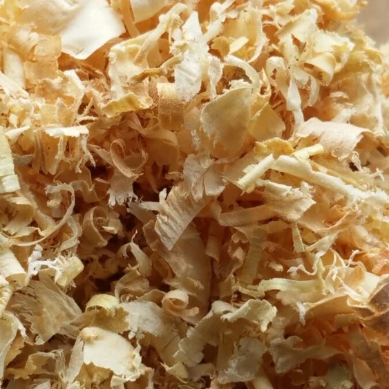 Pine Wood Shavings - Best Quality and Price 100% Quality  Grade Pine yellow Wood shavings for sale