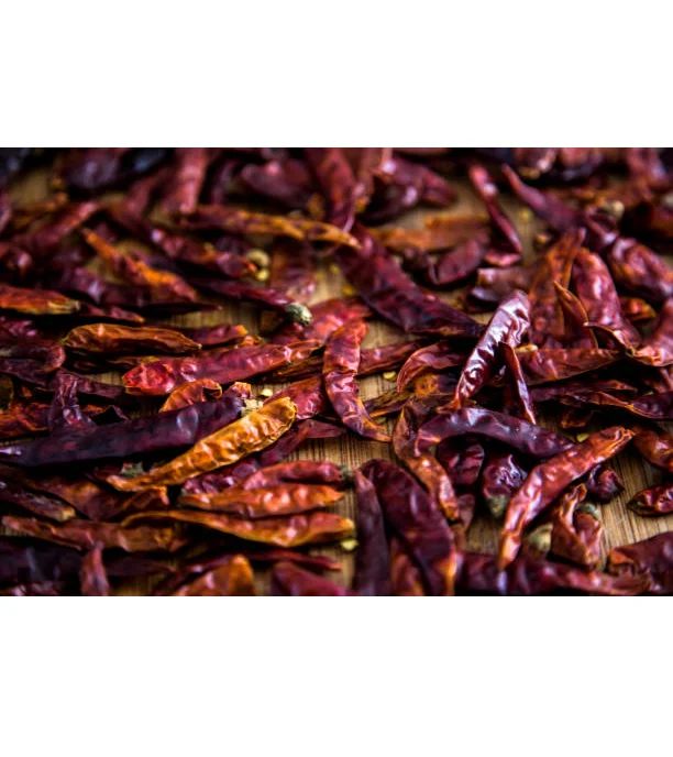 Manufacture Hot Spicy Red Chili Dried chili pepper in bulk good price good quality for export from Vietnam wholesale