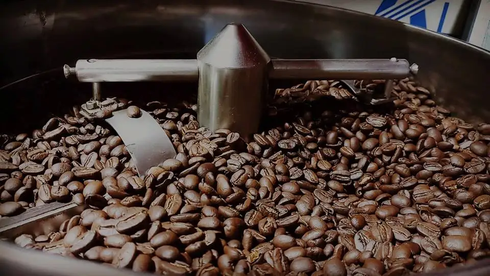 
Langbiang Arabica S18 Sceen Coffee Bean Available Wholesale Natural Bulk Green Coffee Beans 
