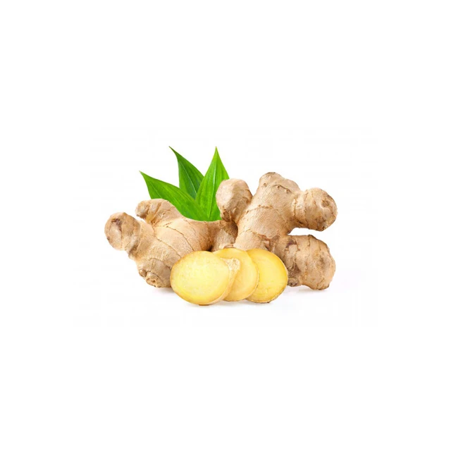 High Quality Fresh Dried Ginger Wholesale for Export Indonesia Origin