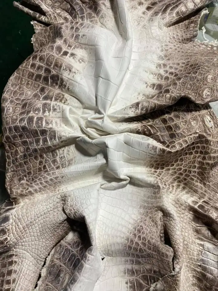 Высококачественные кожаные изделия топ 1 вьетнамские Необработанные шкуры из крокодиловой кожи для курток вьетнамская крокодиловая кожа аллигатора