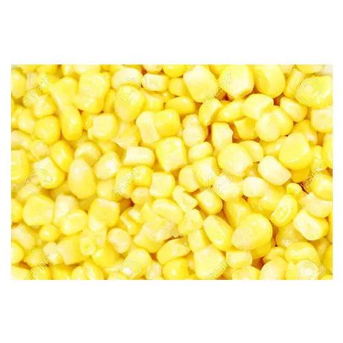 
Yellow Corn Whole Frozen Corn Cob Sweet Yellow Corn 