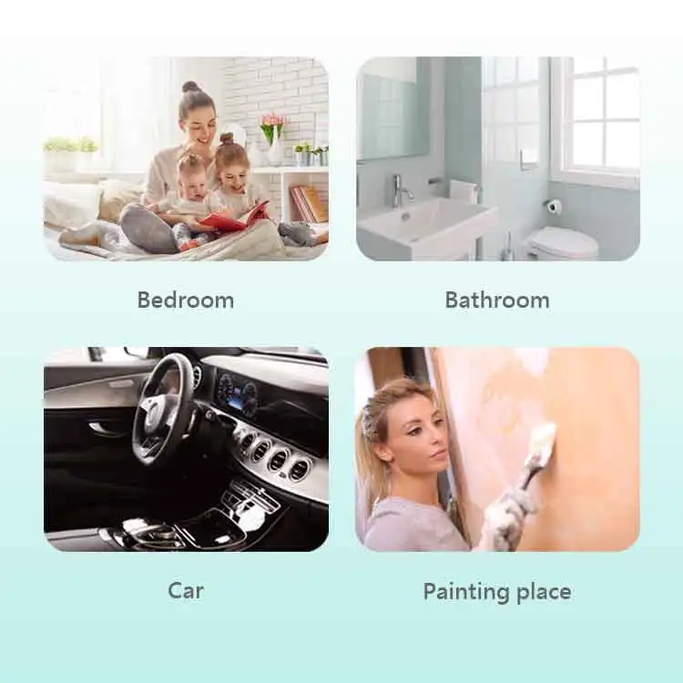 Natural Deodorant Air Formaldehyde Removal Cleaning