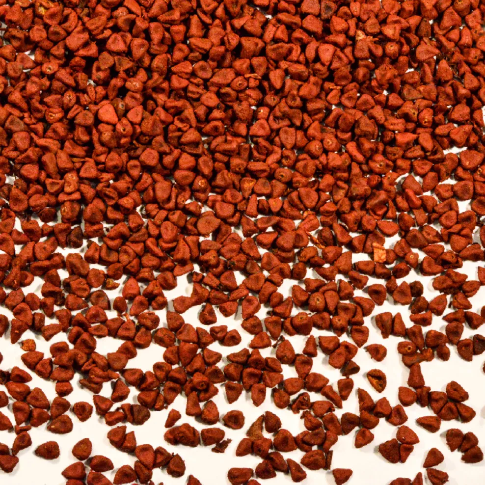 
High Nutritional Natural red Dried Annatto seed 