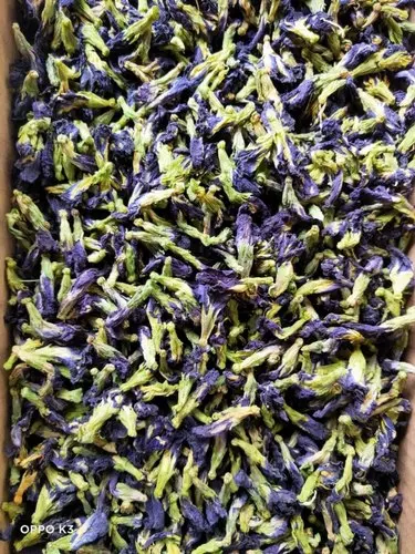 100% Quality Dried Butterfly Pea Flowers for making Tea / Shyn Tran +84382089109