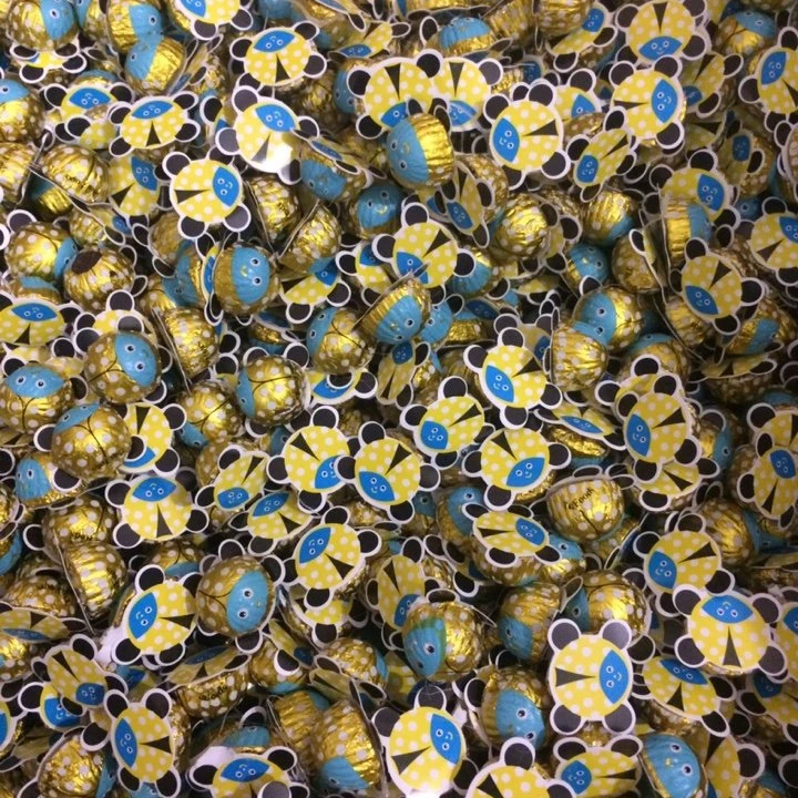 Special Offer Factory Price Vietnam Manufacture Lady Beetle King Chocolate 180g